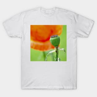 Poppy Seed Pod No Petals T-Shirt